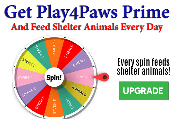 Get Play4Paws Prime to feed shelter animals!