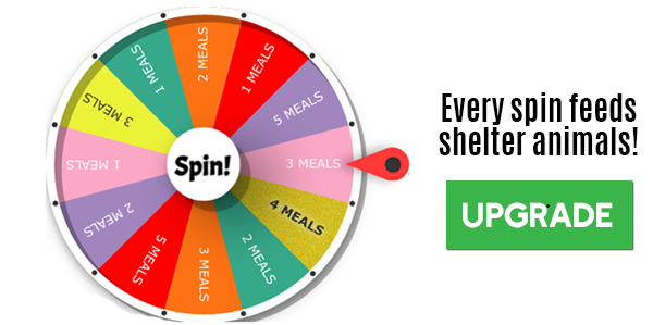 Play4Paws Premium Meal Wheel preview